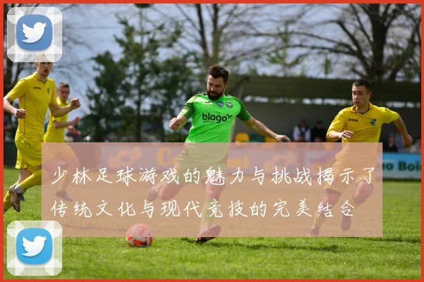少林足球游戏的魅力与挑战揭示了传统文化与现代竞技的完美结合