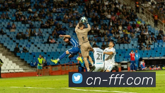 FFF体育官方网站平台生态图