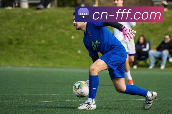 FFF体育官方网站全站App